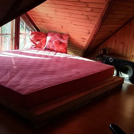 Willa Kuleszówka Domek na Kaszubach z Balią Ogrodową Gowidlino Zewnętrze zdjęcie