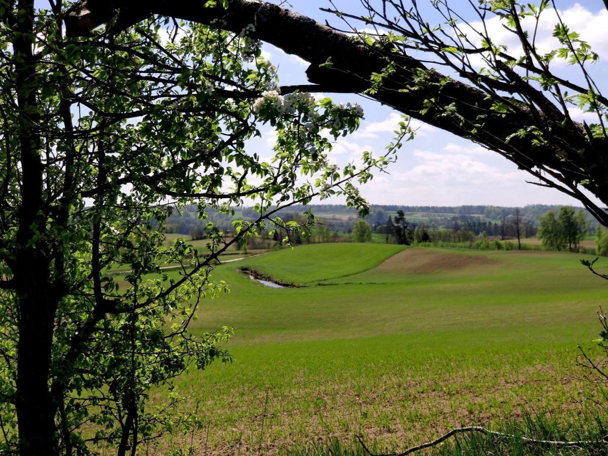 Kuleszowka Domek Na Kaszubach Z Balia Ogrodowa Villa Gowidlino