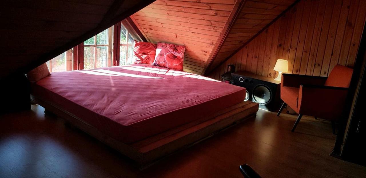 Kuleszowka Domek Na Kaszubach Z Balia Ogrodowa Villa Gowidlino